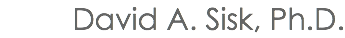 David A. Sisk, Ph.D.